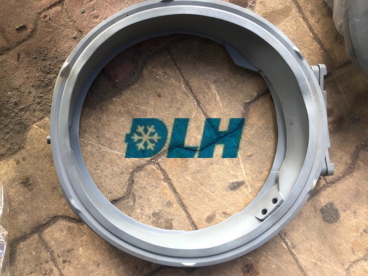 ROONG CỬA MÁY GIẶT LG CÓ SẤY