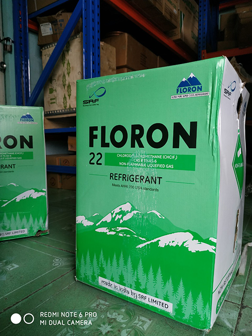 GAS LẠNH FLORON R22